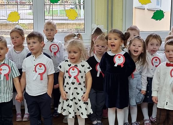 APEL Z OKAZJI NARODOWEGO ŚWIĘTA NIEPODLEGŁOŚCI grafika