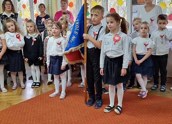 APEL Z OKAZJI NARODOWEGO ŚWIĘTA NIEPODLEGŁOŚCI grafika