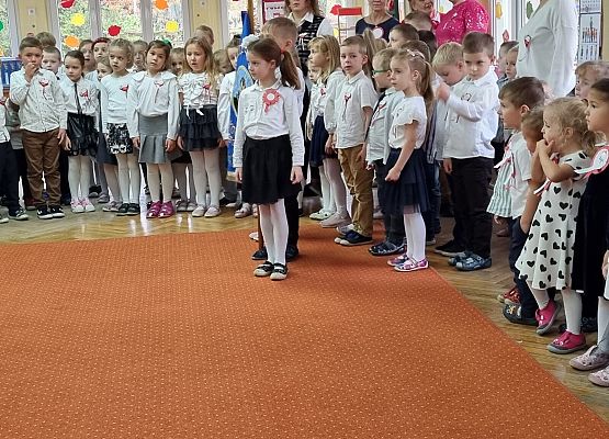 APEL Z OKAZJI NARODOWEGO ŚWIĘTA NIEPODLEGŁOŚCI grafika