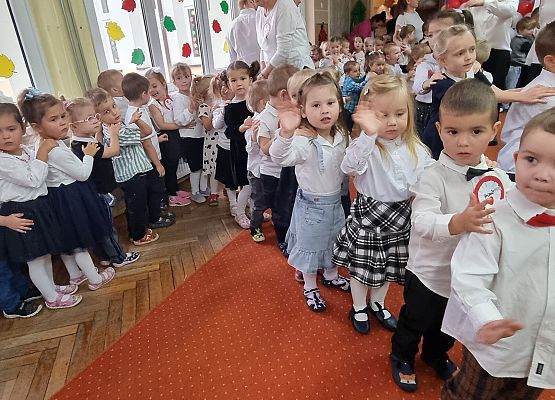 APEL Z OKAZJI NARODOWEGO ŚWIĘTA NIEPODLEGŁOŚCI grafika