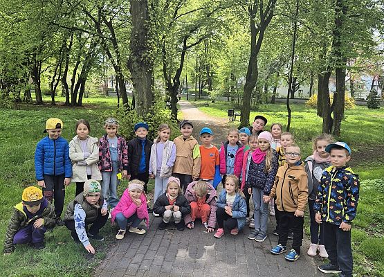 KOTKI ZWIEDZAJA TEREN SZKOŁY NR8 W LĘBORKU grafika