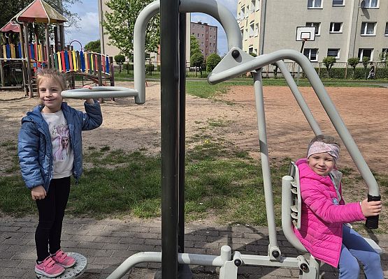 KOTKI ZWIEDZAJA TEREN SZKOŁY NR8 W LĘBORKU grafika