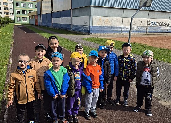 KOTKI ZWIEDZAJA TEREN SZKOŁY NR8 W LĘBORKU grafika