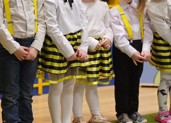 PASOWANIE NA PRZEDSZKOLAKA W GRUPIE PSZCZÓŁEK grafika