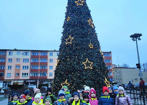 PINGWINKI I MOTYLKI NA WARSZTATACH ZDOBIENIA PIERNIKÓW grafika