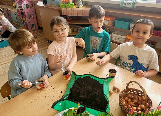 WIOSENNY OGRÓDEK U PINGWINKÓW grafika