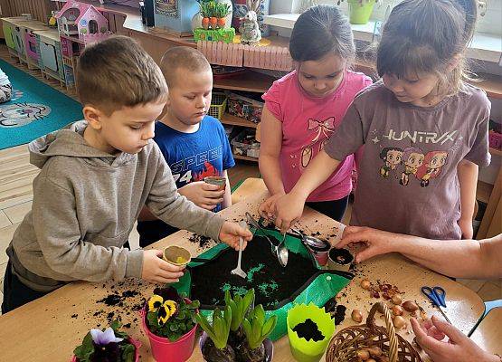 WIOSENNY OGRÓDEK U PINGWINKÓW grafika