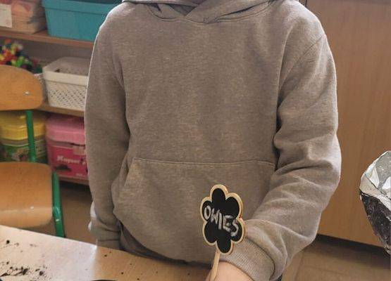 WIOSENNY OGRÓDEK U PINGWINKÓW grafika