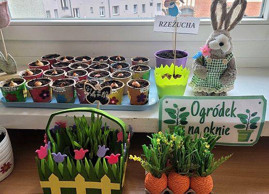 WIOSENNY OGRÓDEK U PINGWINKÓW grafika