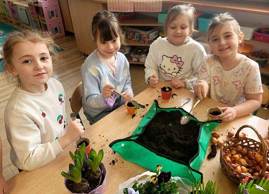 WIOSENNY OGRÓDEK U PINGWINKÓW grafika