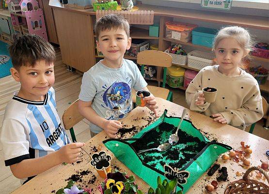 WIOSENNY OGRÓDEK U PINGWINKÓW grafika