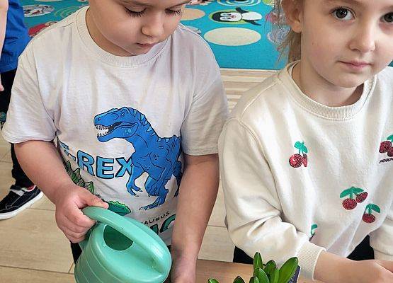 WIOSENNY OGRÓDEK U PINGWINKÓW grafika