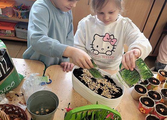 WIOSENNY OGRÓDEK U PINGWINKÓW grafika