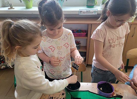 WIOSENNY OGRÓDEK U PINGWINKÓW grafika