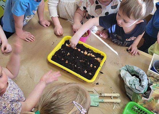 ZAKŁADAMY ZIELONE OGRÓDKI grafika