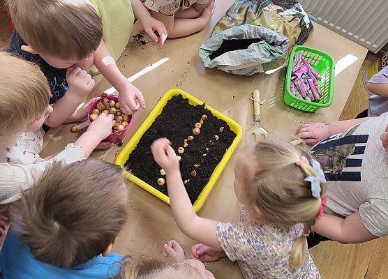 ZAKŁADAMY ZIELONE OGRÓDKI grafika