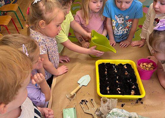 ZAKŁADAMY ZIELONE OGRÓDKI grafika