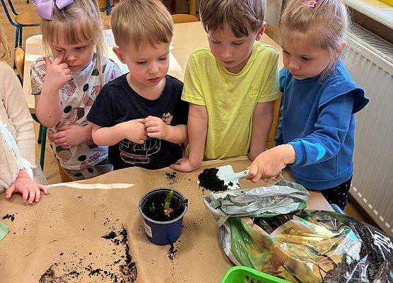 ZAKŁADAMY ZIELONE OGRÓDKI grafika