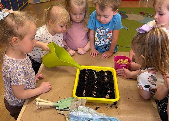 ZAKŁADAMY ZIELONE OGRÓDKI grafika