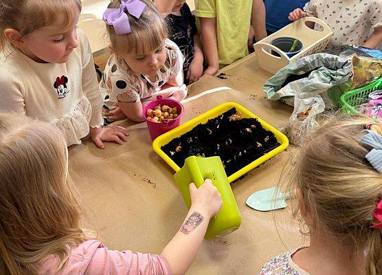 ZAKŁADAMY ZIELONE OGRÓDKI grafika