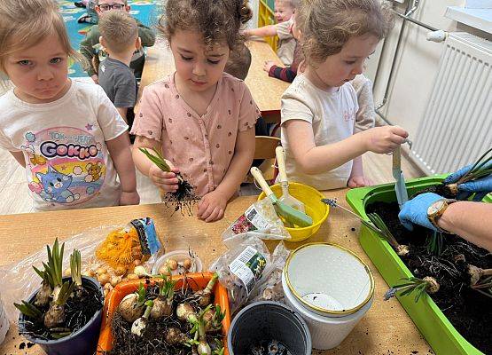 ZAKŁADAMY ZIELONE OGRÓDKI grafika