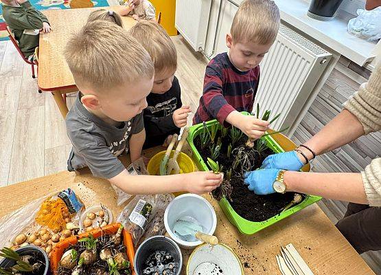 ZAKŁADAMY ZIELONE OGRÓDKI grafika