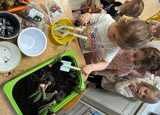 ZAKŁADAMY ZIELONE OGRÓDKI grafika