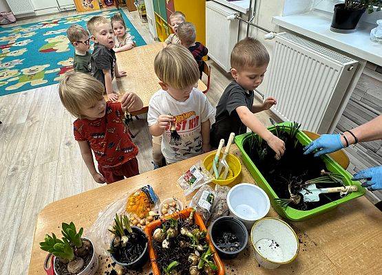 ZAKŁADAMY ZIELONE OGRÓDKI grafika