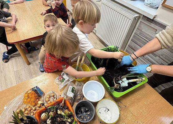 ZAKŁADAMY ZIELONE OGRÓDKI grafika