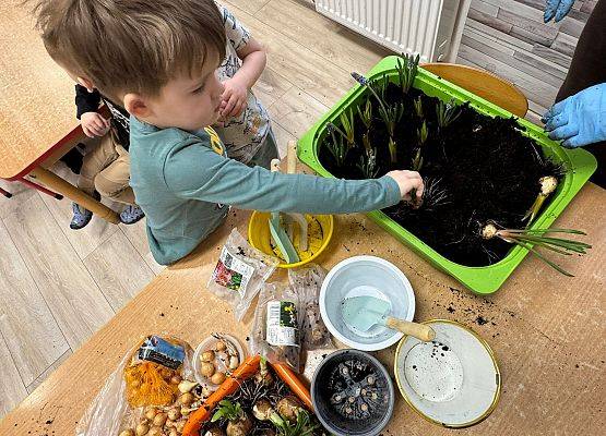 ZAKŁADAMY ZIELONE OGRÓDKI grafika