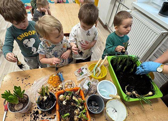 ZAKŁADAMY ZIELONE OGRÓDKI grafika