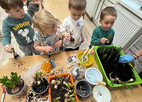 ZAKŁADAMY ZIELONE OGRÓDKI grafika