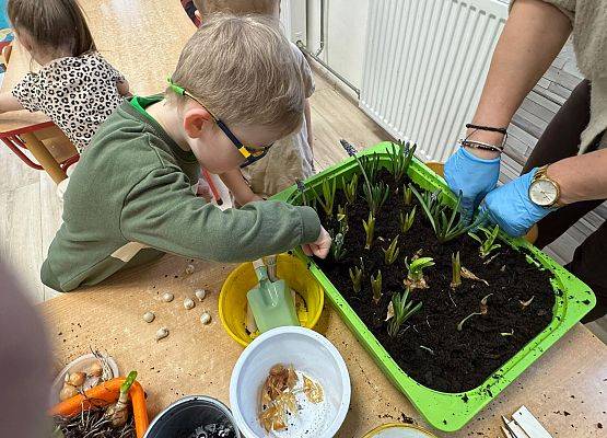 ZAKŁADAMY ZIELONE OGRÓDKI grafika