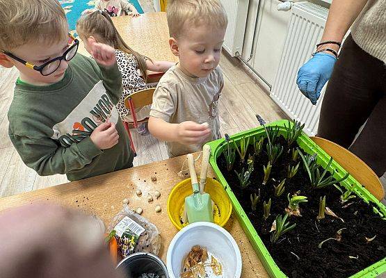 ZAKŁADAMY ZIELONE OGRÓDKI grafika