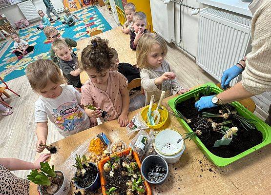 ZAKŁADAMY ZIELONE OGRÓDKI grafika