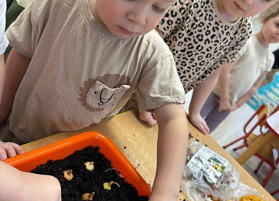 ZAKŁADAMY ZIELONE OGRÓDKI grafika