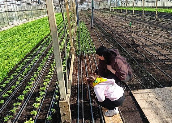 KRASNOLUDKI I SŁONECZKA NA WYCIECZCE DO OGRODNICTWA grafika