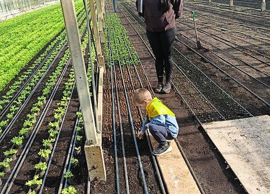 KRASNOLUDKI I SŁONECZKA NA WYCIECZCE DO OGRODNICTWA grafika