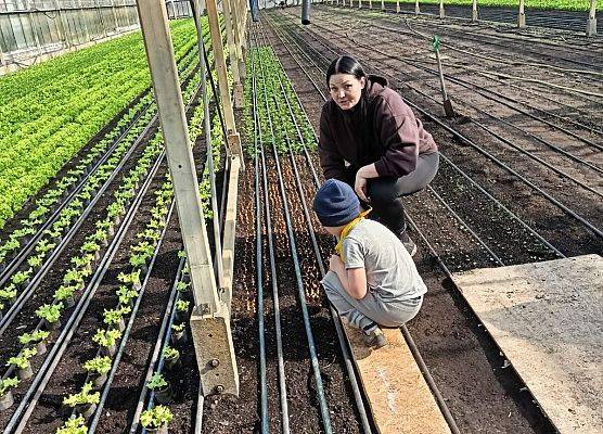 KRASNOLUDKI I SŁONECZKA NA WYCIECZCE DO OGRODNICTWA grafika