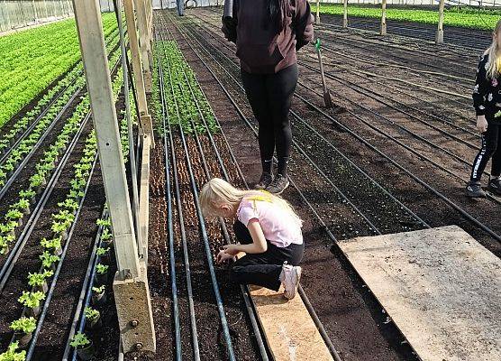 KRASNOLUDKI I SŁONECZKA NA WYCIECZCE DO OGRODNICTWA grafika