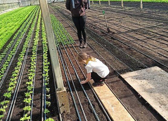 KRASNOLUDKI I SŁONECZKA NA WYCIECZCE DO OGRODNICTWA grafika