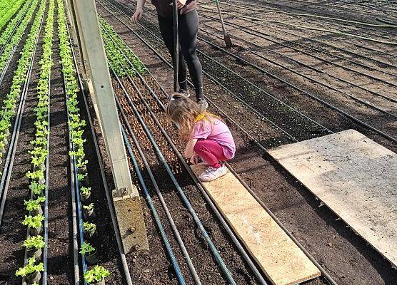 KRASNOLUDKI I SŁONECZKA NA WYCIECZCE DO OGRODNICTWA grafika