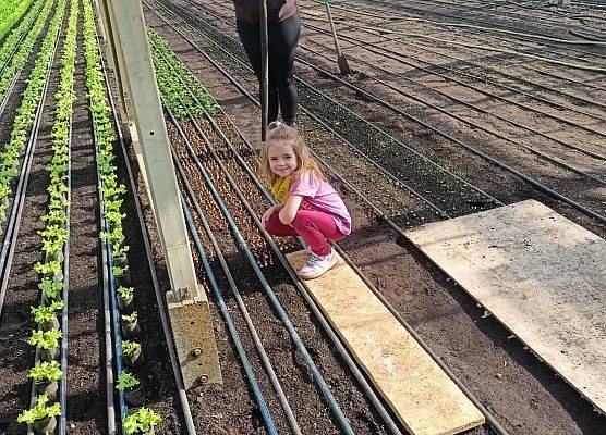 KRASNOLUDKI I SŁONECZKA NA WYCIECZCE DO OGRODNICTWA grafika