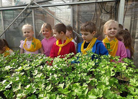 KRASNOLUDKI I SŁONECZKA NA WYCIECZCE DO OGRODNICTWA grafika