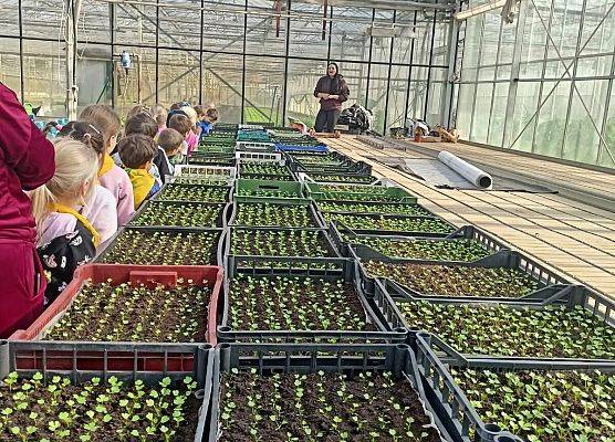 KRASNOLUDKI I SŁONECZKA NA WYCIECZCE DO OGRODNICTWA grafika