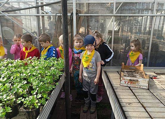 KRASNOLUDKI I SŁONECZKA NA WYCIECZCE DO OGRODNICTWA grafika