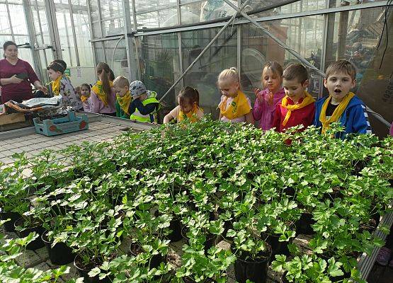 KRASNOLUDKI I SŁONECZKA NA WYCIECZCE DO OGRODNICTWA grafika