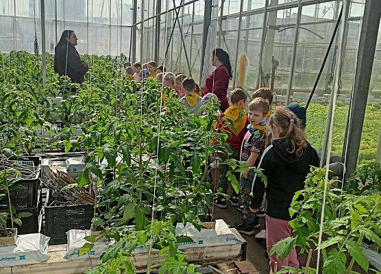 KRASNOLUDKI I SŁONECZKA NA WYCIECZCE DO OGRODNICTWA grafika