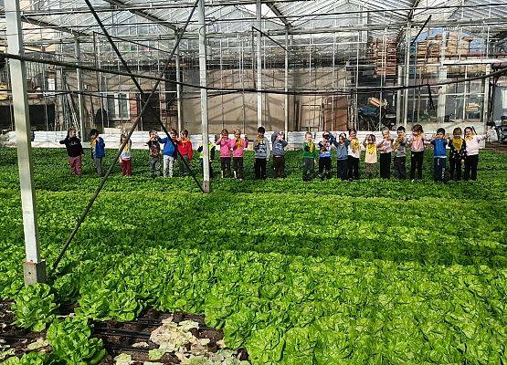 KRASNOLUDKI I SŁONECZKA NA WYCIECZCE DO OGRODNICTWA grafika