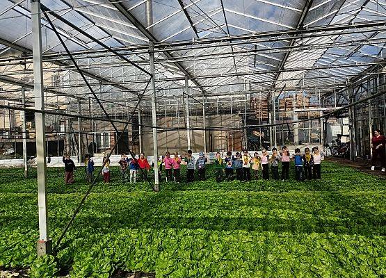 KRASNOLUDKI I SŁONECZKA NA WYCIECZCE DO OGRODNICTWA grafika